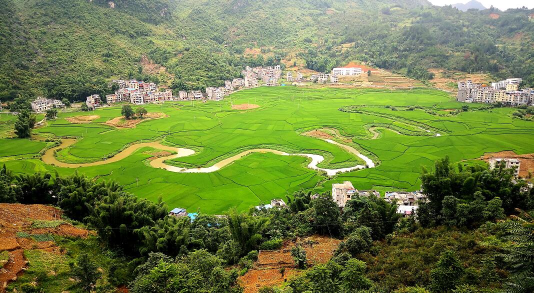QQ截图20200722132313.jpg