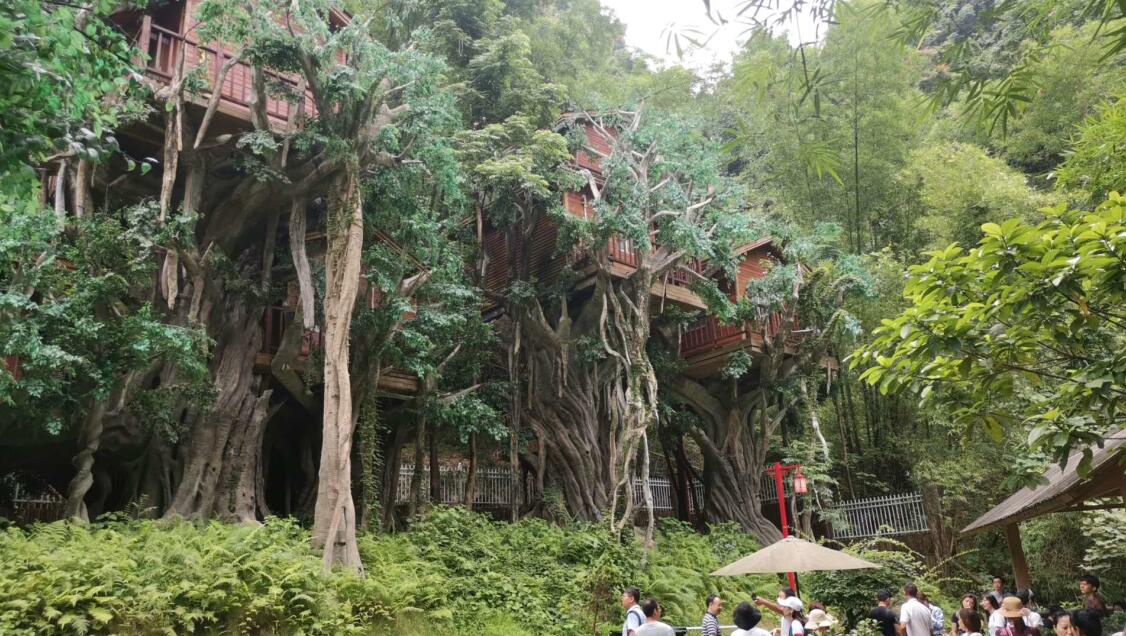 QQ截图20200728155930.jpg