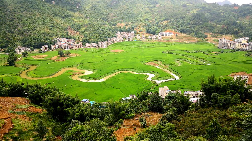 QQ截图20200728182507.jpg