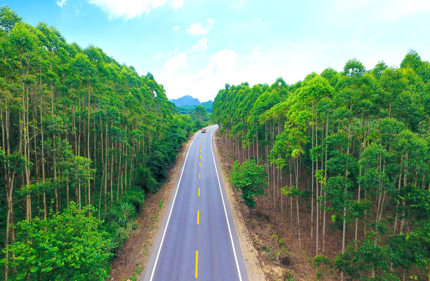 国道209线来宾市武宣县路段。罗忠德摄