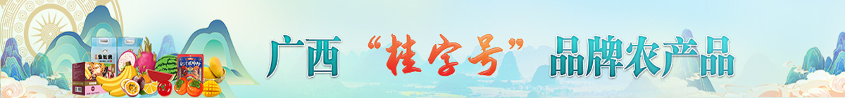 桂字号