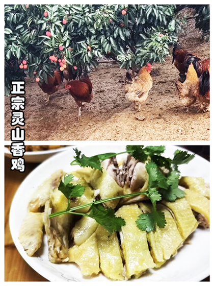 微信_20250626120351.jpg