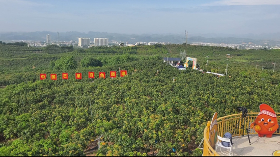 微信图片_20260611134404_703_322.jpg